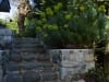 Accent Landscapes - Victoria - steps, stairs, stone wall